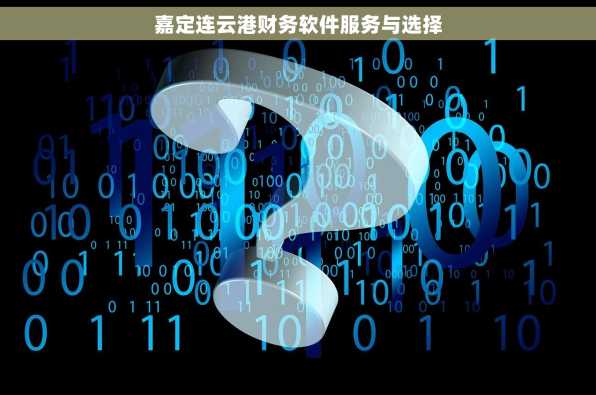 嘉定连云港财务软件服务与选择