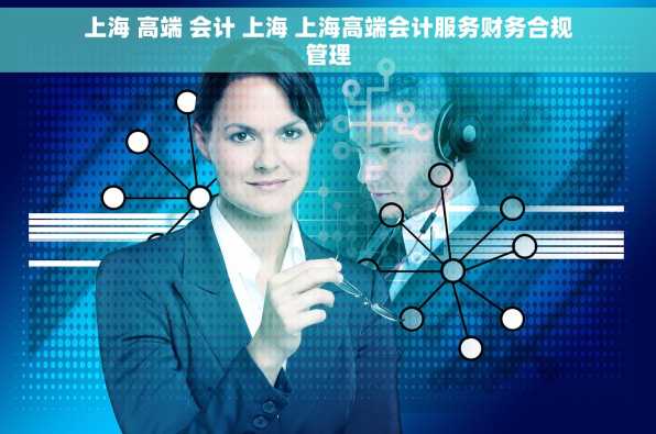 上海 高端 会计 上海 上海高端会计服务财务合规管理