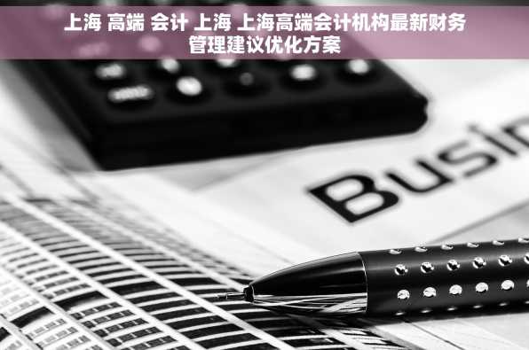 上海 高端 会计 上海 上海高端会计机构最新财务管理建议优化方案