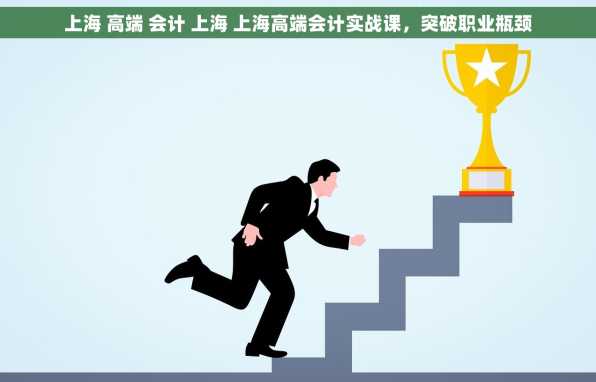 上海 高端 会计 上海 上海高端会计实战课，突破职业瓶颈