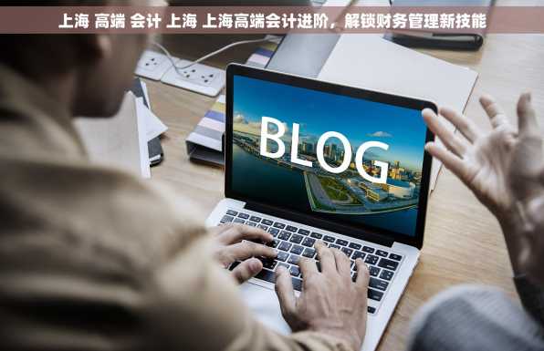 上海 高端 会计 上海 上海高端会计进阶，解锁财务管理新技能