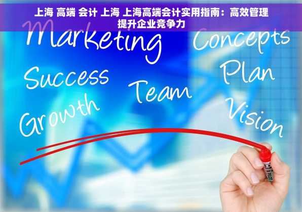 上海 高端 会计 上海 上海高端会计实用指南：高效管理提升企业竞争力