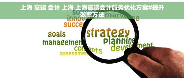 上海 高端 会计 上海 上海高端会计服务优化方案#提升效率方法