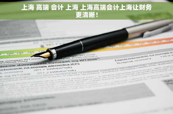 上海 高端 会计 上海 上海高端会计上海让财务更清晰！