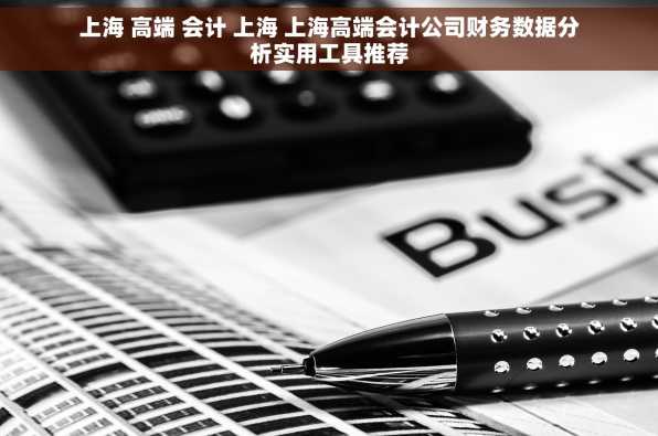 上海 高端 会计 上海 上海高端会计公司财务数据分析实用工具推荐
