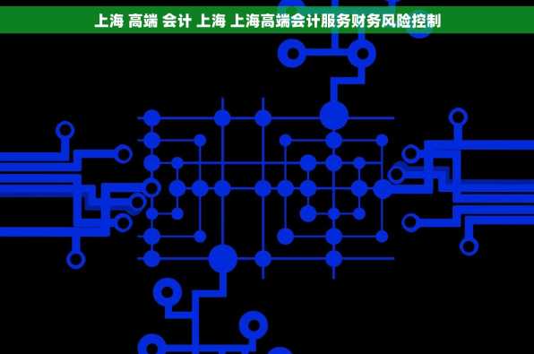 上海 高端 会计 上海 上海高端会计服务财务风险控制