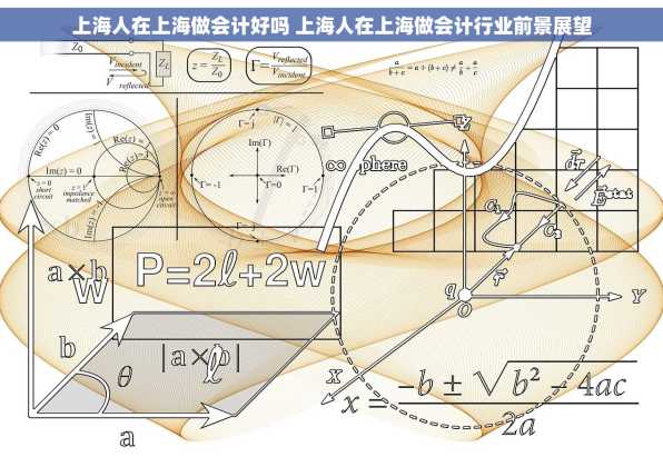 上海人在上海做会计好吗 上海人在上海做会计行业前景展望