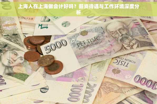 上海人在上海做会计好吗？薪资待遇与工作环境深度分析