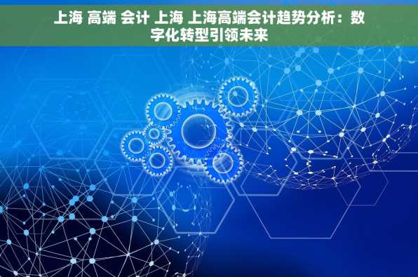 上海 高端 会计 上海 上海高端会计趋势分析：数字化转型引领未来