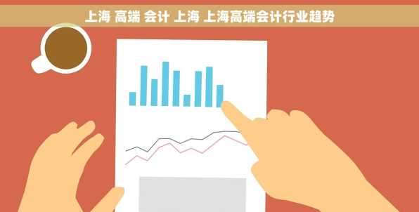 上海 高端 会计 上海 上海高端会计行业趋势