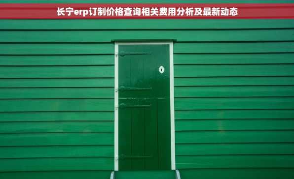 长宁erp订制价格查询相关费用分析及最新动态