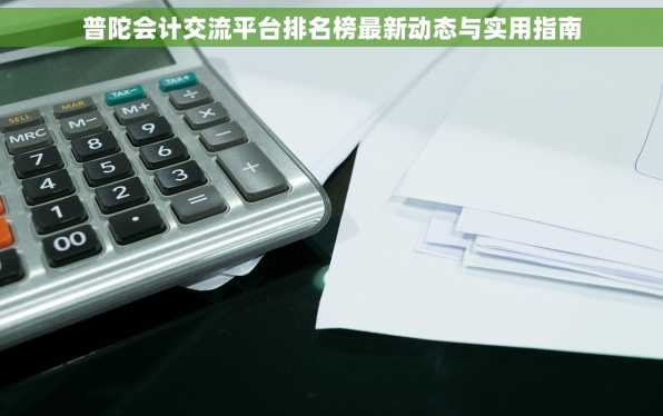 普陀会计交流平台排名榜最新动态与实用指南