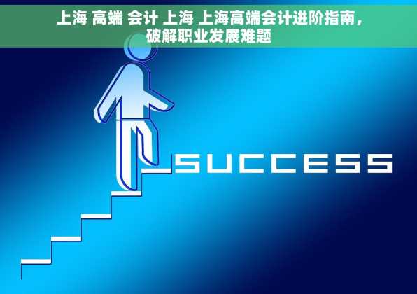 上海 高端 会计 上海 上海高端会计进阶指南，破解职业发展难题