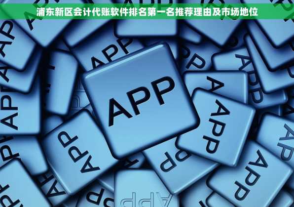 浦东新区会计代账软件排名第一名推荐理由及市场地位