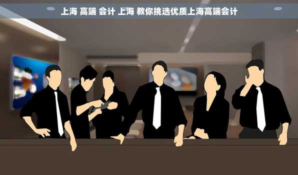 上海 高端 会计 上海 教你挑选优质上海高端会计