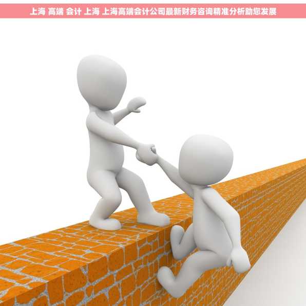 上海 高端 会计 上海 上海高端会计公司最新财务咨询精准分析助您发展
