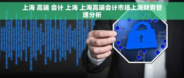 上海 高端 会计 上海 上海高端会计市场上海财务管理分析