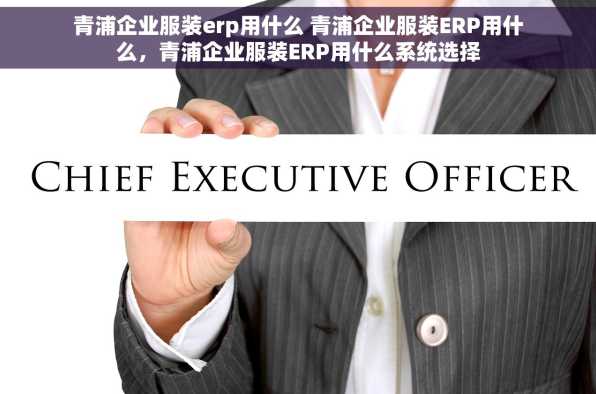 青浦企业服装erp用什么 青浦企业服装ERP用什么，青浦企业服装ERP用什么系统选择