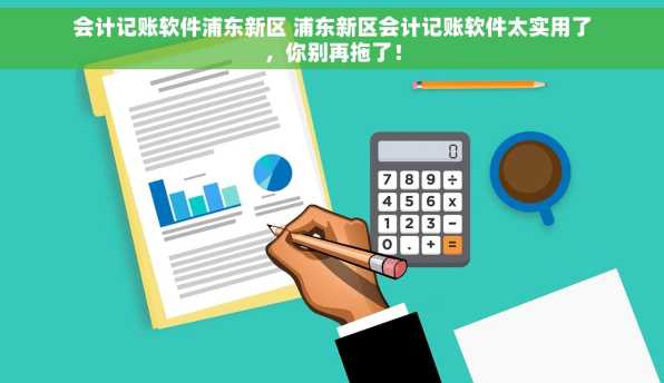 会计记账软件浦东新区 浦东新区会计记账软件太实用了，你别再拖了！