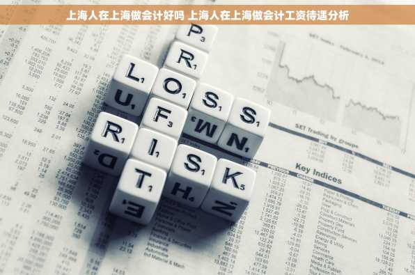 上海人在上海做会计好吗 上海人在上海做会计工资待遇分析