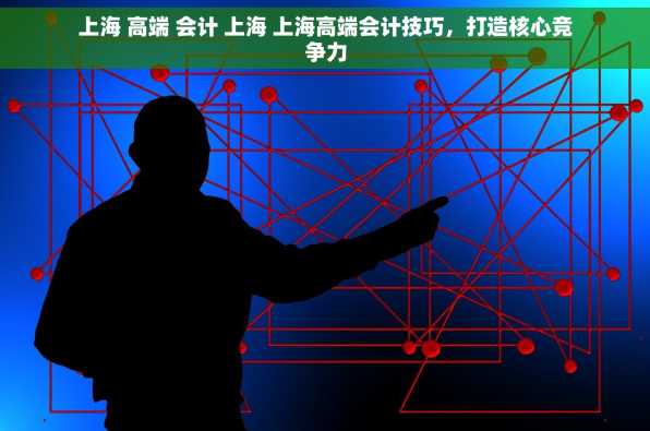 上海 高端 会计 上海 上海高端会计技巧，打造核心竞争力