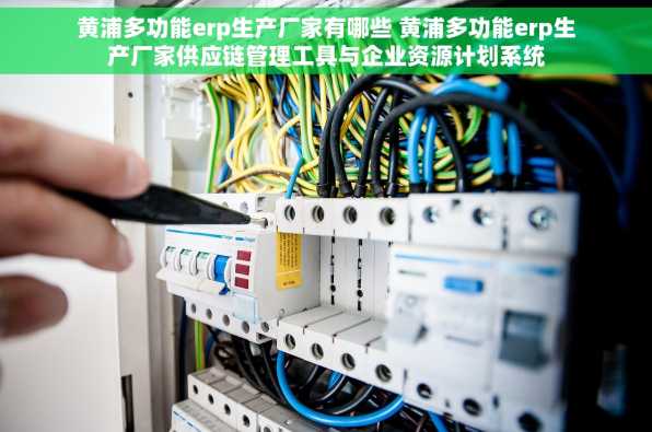 黄浦多功能erp生产厂家有哪些 黄浦多功能erp生产厂家供应链管理工具与企业资源计划系统