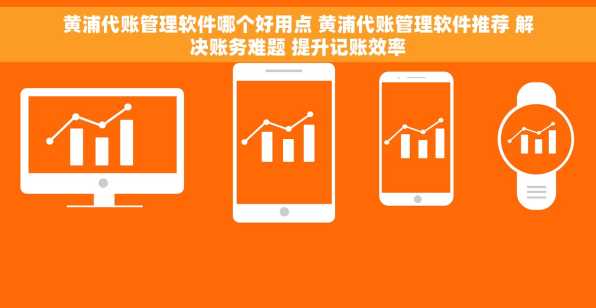 黄浦代账管理软件哪个好用点 黄浦代账管理软件推荐 解决账务难题 提升记账效率