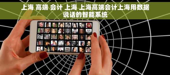 上海 高端 会计 上海 上海高端会计上海用数据说话的智能系统