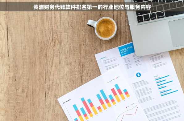 黄浦财务代账软件排名第一的行业地位与服务内容