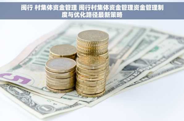 闽行 村集体资金管理 闽行村集体资金管理资金管理制度与优化路径最新策略