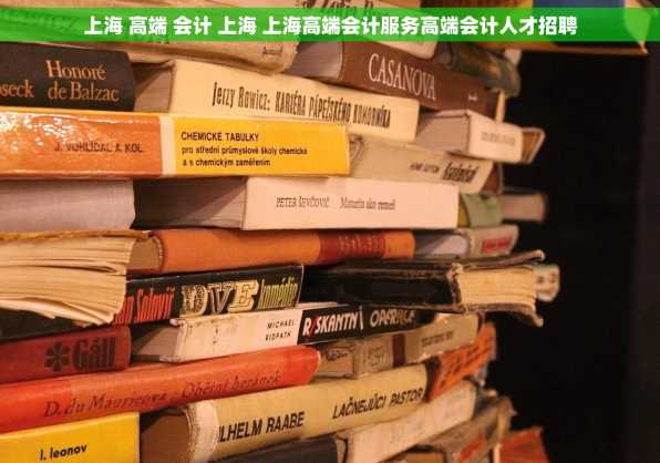 上海 高端 会计 上海 上海高端会计服务高端会计人才招聘