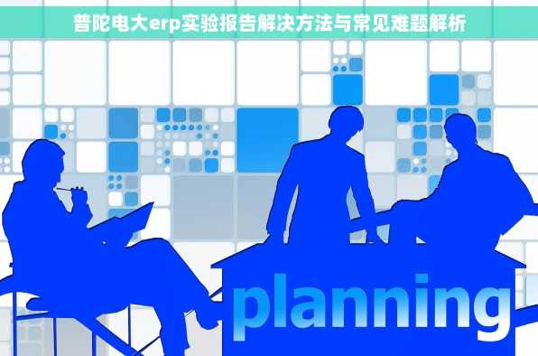 普陀电大erp实验报告解决方法与常见难题解析