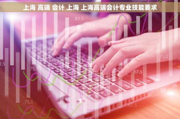 上海 高端 会计 上海 上海高端会计专业技能要求