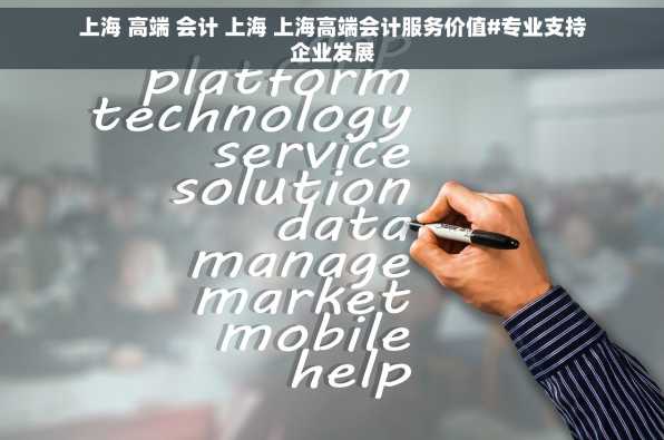 上海 高端 会计 上海 上海高端会计服务价值#专业支持企业发展