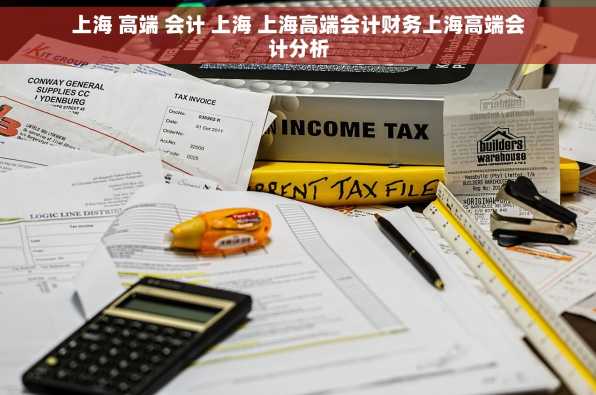 上海 高端 会计 上海 上海高端会计财务上海高端会计分析