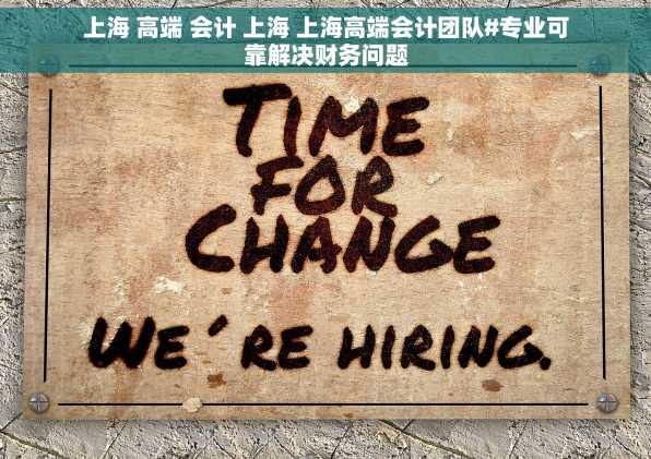 上海 高端 会计 上海 上海高端会计团队#专业可靠解决财务问题