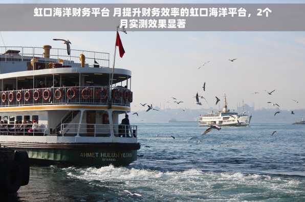 虹口海洋财务平台 月提升财务效率的虹口海洋平台，2个月实测效果显著