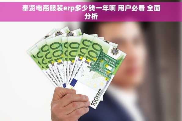 奉贤电商服装erp多少钱一年啊 用户必看 全面分析