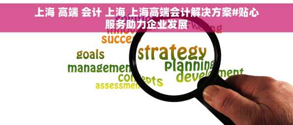 上海 高端 会计 上海 上海高端会计解决方案#贴心服务助力企业发展