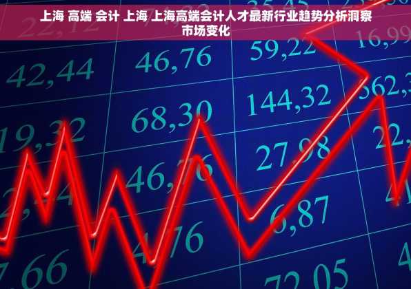 上海 高端 会计 上海 上海高端会计人才最新行业趋势分析洞察市场变化