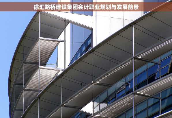 徐汇路桥建设集团会计职业规划与发展前景
