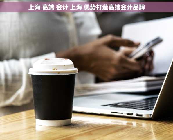 上海 高端 会计 上海 优势打造高端会计品牌