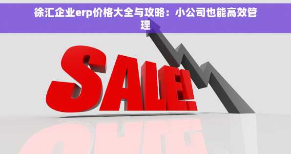 徐汇企业erp价格大全与攻略：小公司也能高效管理