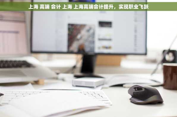上海 高端 会计 上海 上海高端会计提升，实现职业飞跃