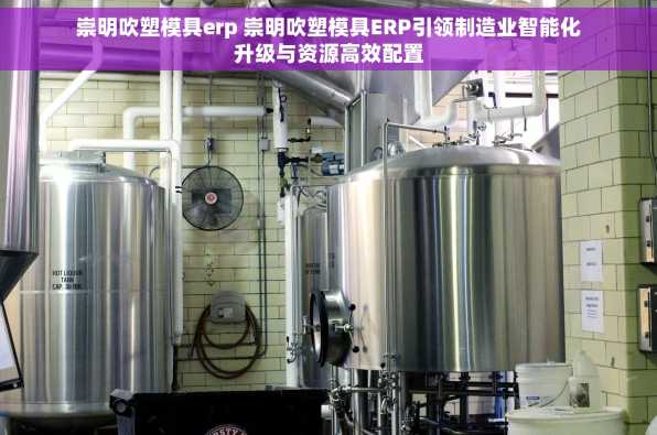 崇明吹塑模具erp 崇明吹塑模具ERP引领制造业智能化升级与资源高效配置