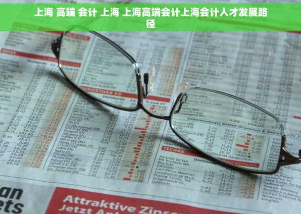 上海 高端 会计 上海 上海高端会计上海会计人才发展路径