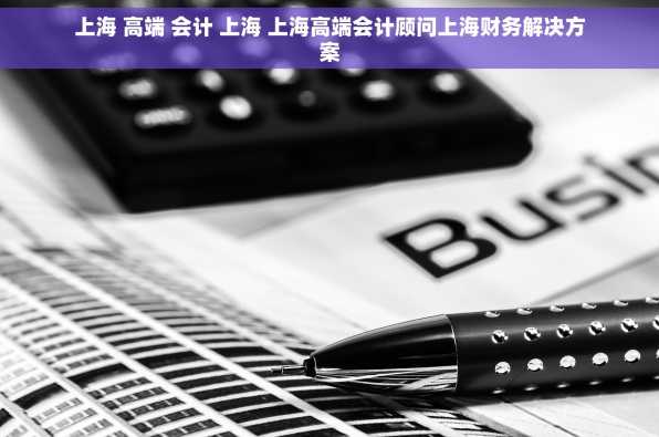 上海 高端 会计 上海 上海高端会计顾问上海财务解决方案