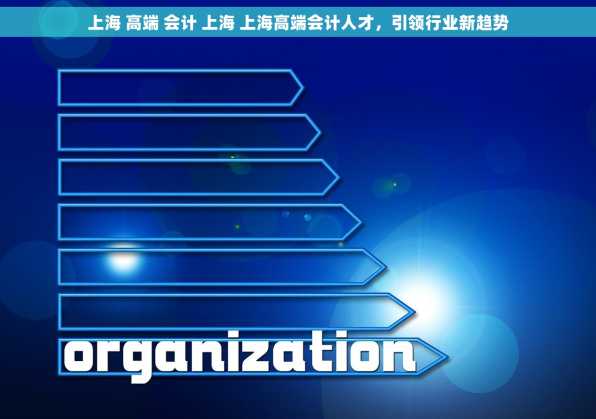 上海 高端 会计 上海 上海高端会计人才，引领行业新趋势