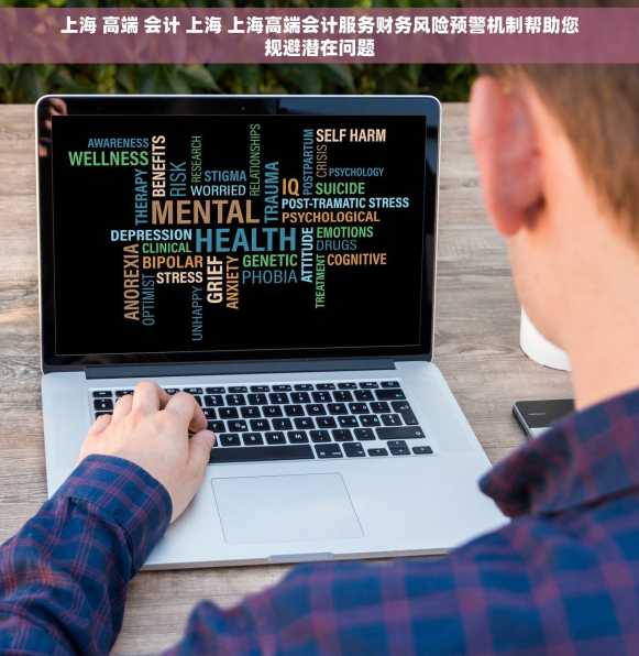 上海 高端 会计 上海 上海高端会计服务财务风险预警机制帮助您规避潜在问题