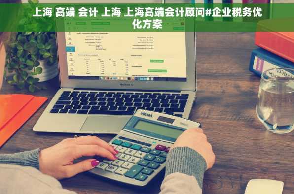 上海 高端 会计 上海 上海高端会计顾问#企业税务优化方案